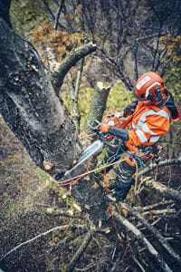 Husqvarna 560 XP® Mark II 15"Bar & Chain 970 65 70-15